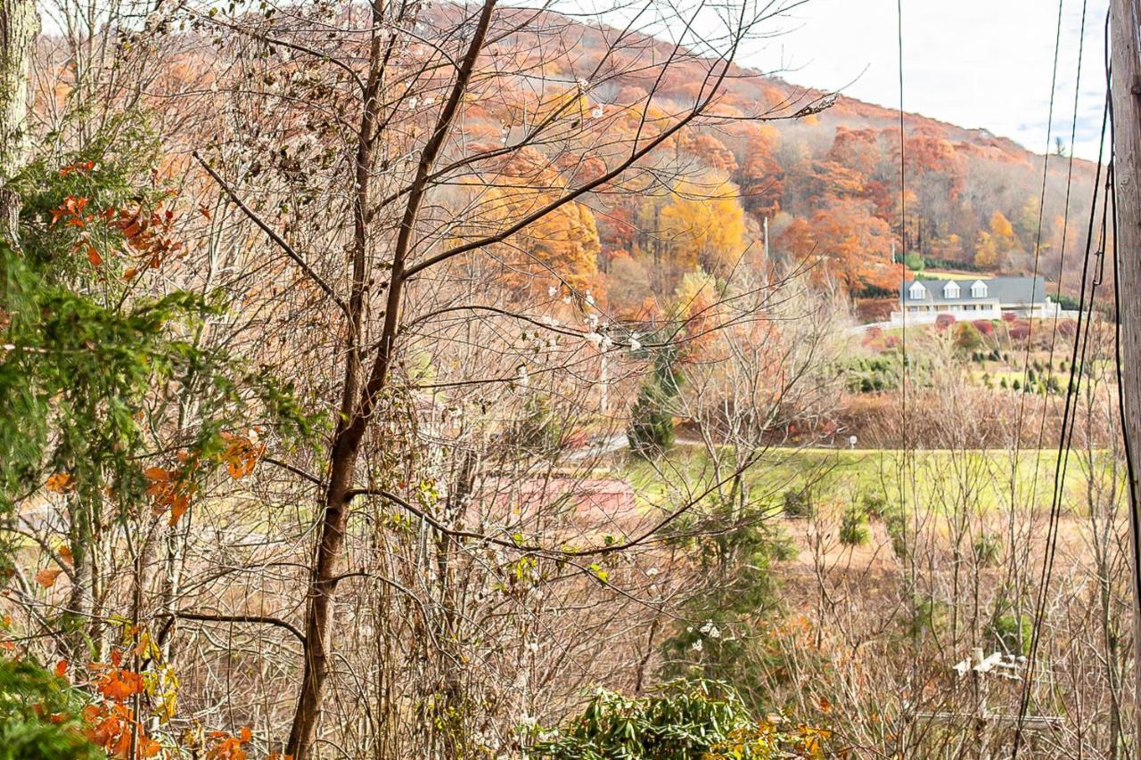 Sugar Mountain Serenity Banner Elk Dış mekan fotoğraf